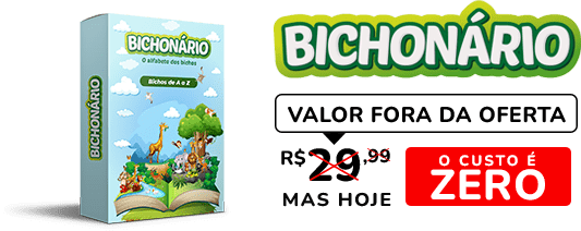 Atividade para Educação Especial